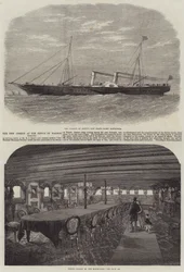 The Viceroy of Egypt